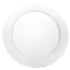 White Party Plates 10.25", 10pcs